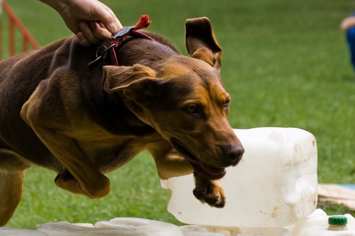 20080628085342s.jpg